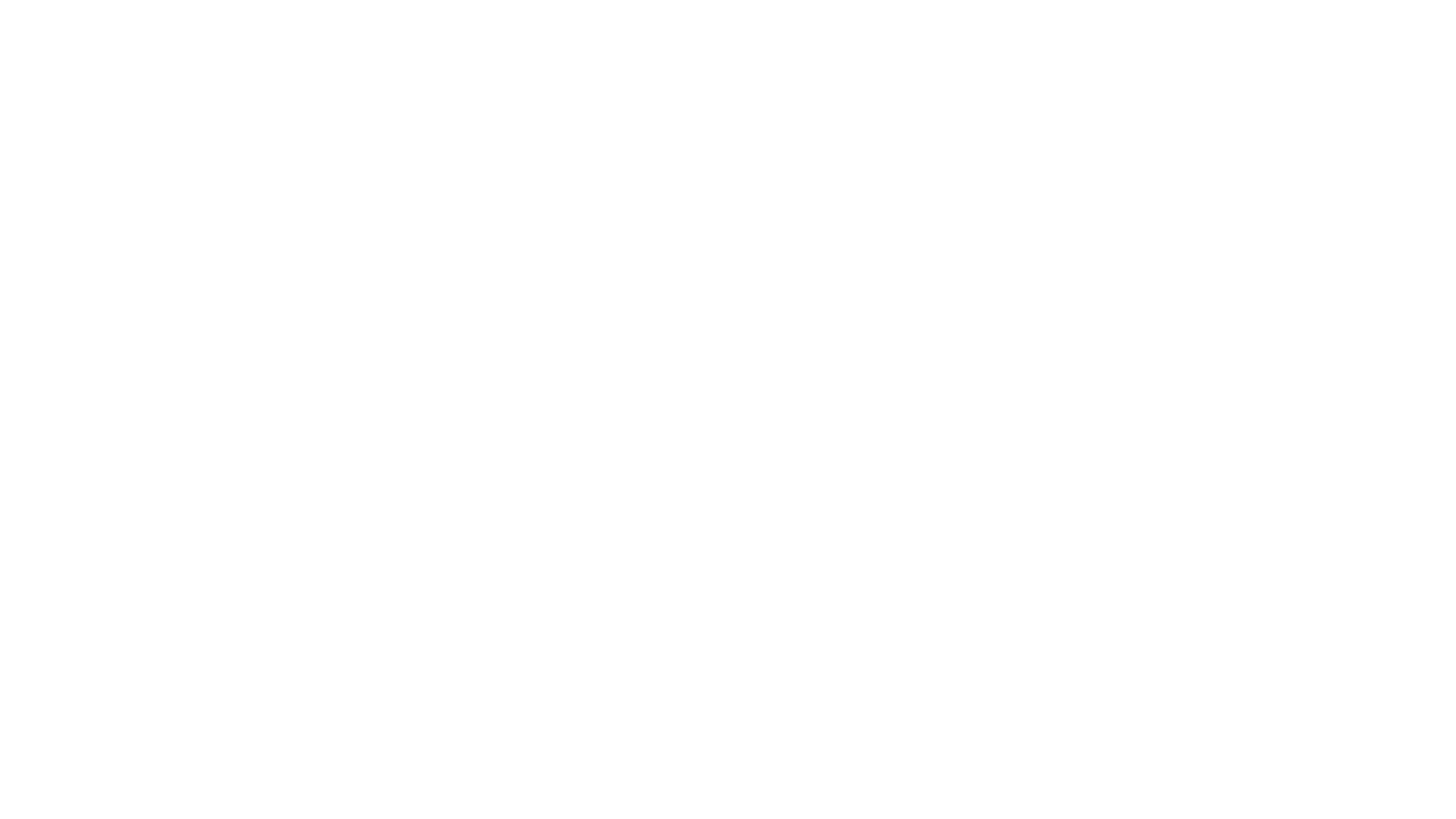 FMI Logo White